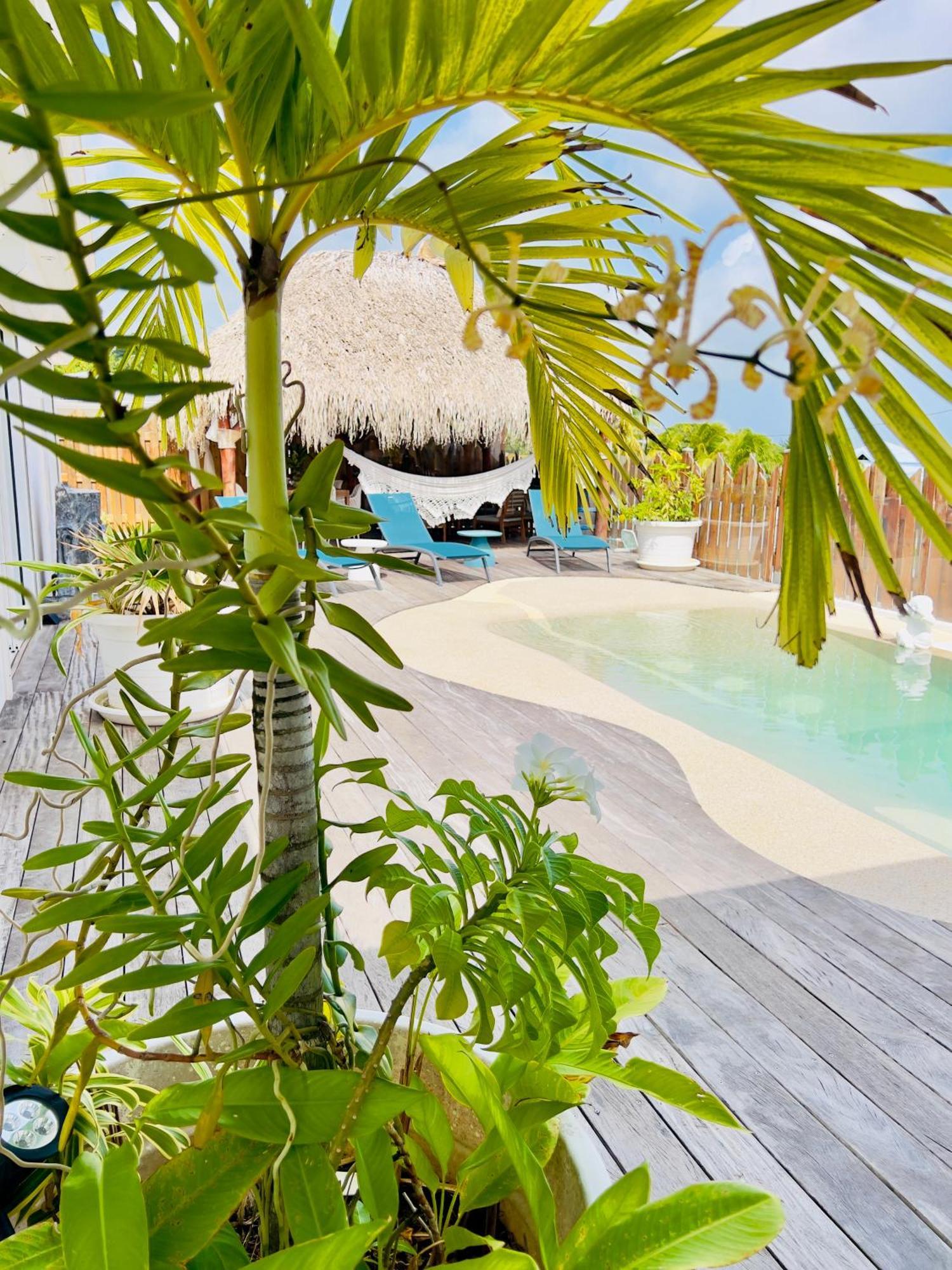 Villa Amaryllis Luxueuse,Piscine,Vue Mer,Plage Сент-Люс Екстер'єр фото