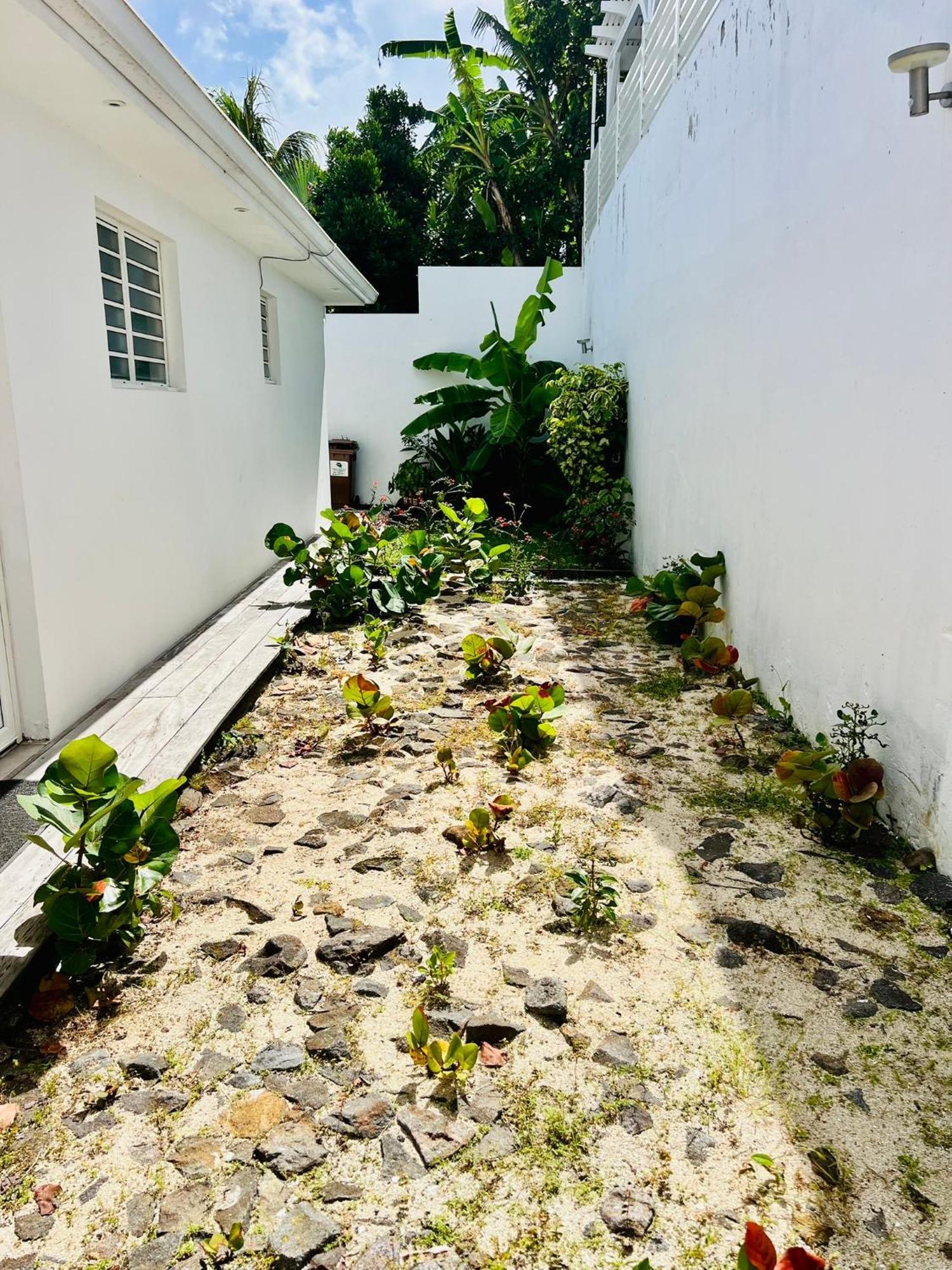 Villa Amaryllis Luxueuse,Piscine,Vue Mer,Plage Сент-Люс Екстер'єр фото